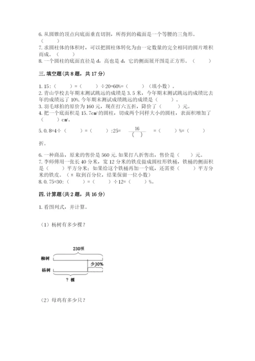 苏教版六年级下册数学期中测试卷（达标题）.docx