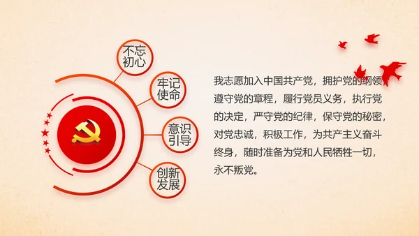 红色党支部党员大会工作总结汇报PPT