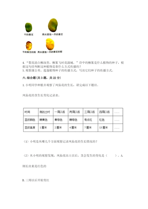教科版四年级下册科学第一单元《植物的生长变化》测试卷及答案【新】.docx