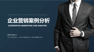 企业合作营销案例分析通用PPT模版