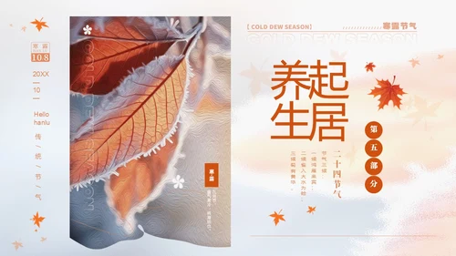 白色淡雅实拍风中国传统节气寒露节气介绍PPT