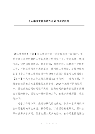 个人年度工作总结及计划500字范例.docx