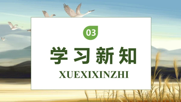 【核心素养】部编版语文四年级下册-6.飞向蓝天的恐龙 第2课时（课件）