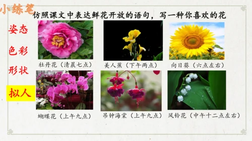13《花钟》（课件）