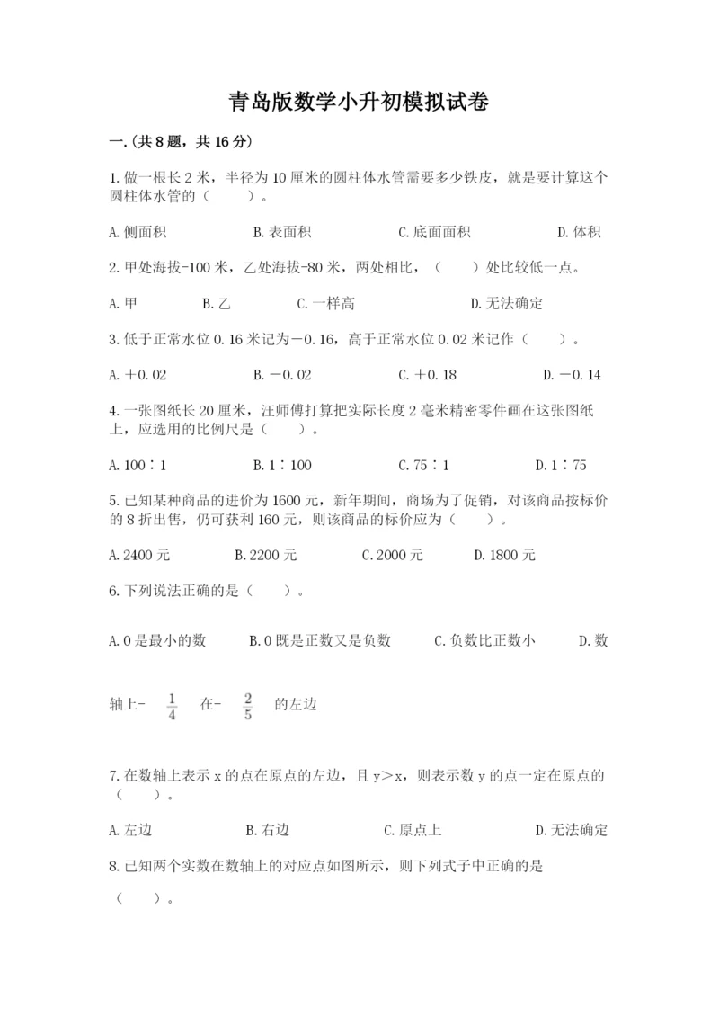 青岛版数学小升初模拟试卷【典优】.docx