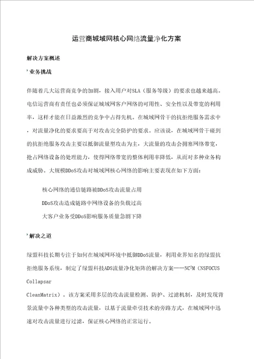 运营商城域网核心网络流量净化方案