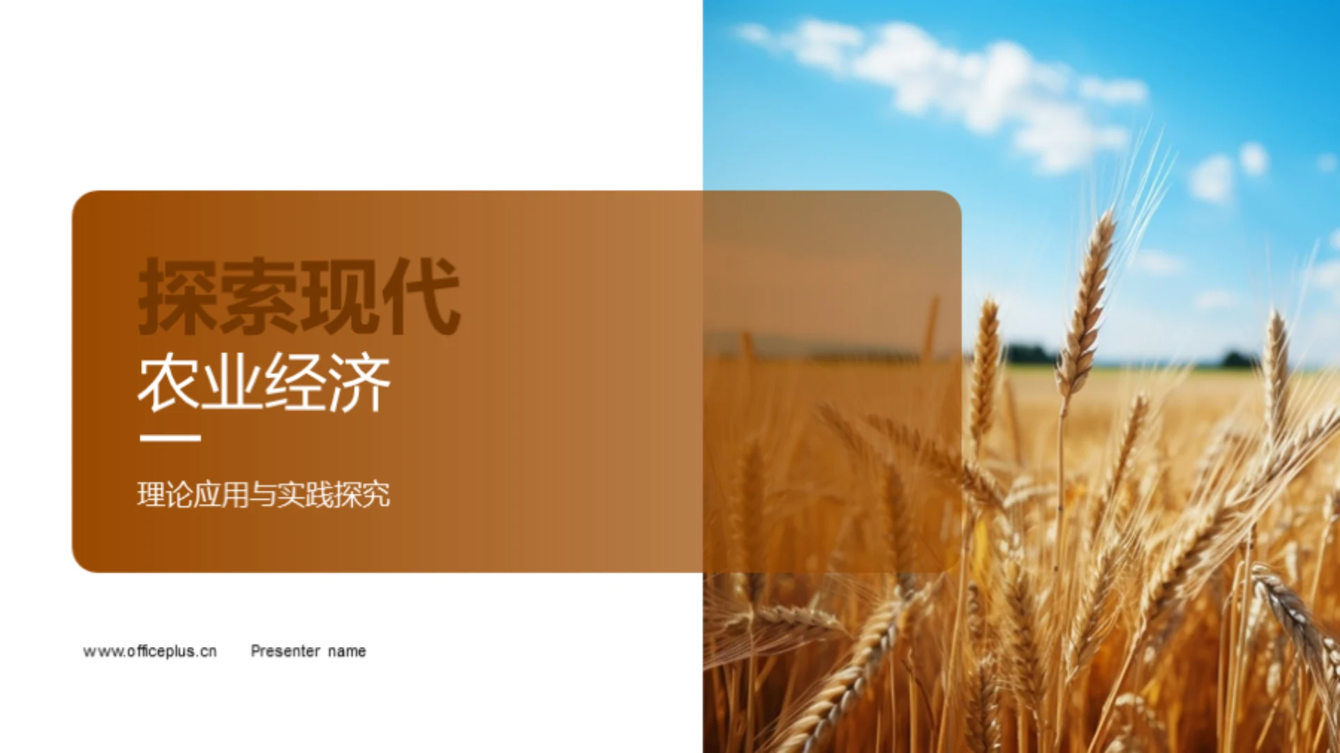 探索现代农业经济