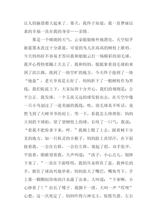 写亲情的作文-1.docx