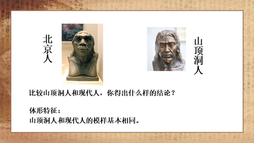 初中历史《人类起源》教学通用PPT课件
