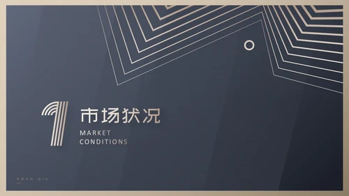 市场营销项目方案PPT模板