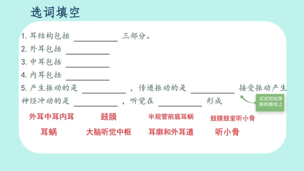 4.6.1  人体对外界环境的感知课件(共20张PPT)人教版 七年级下册