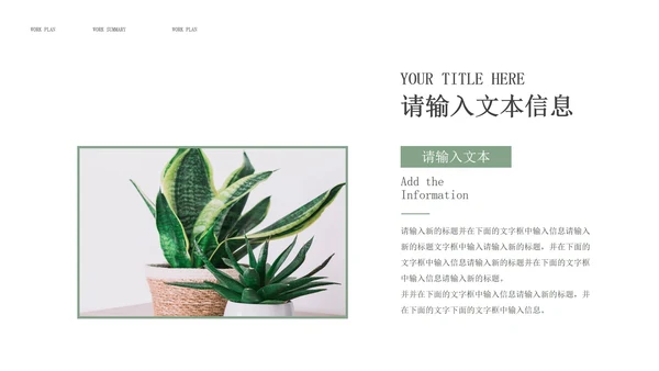 绿色小清新企业总结汇报PPT模板
