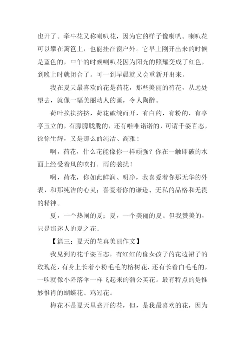 夏天的花作文.docx