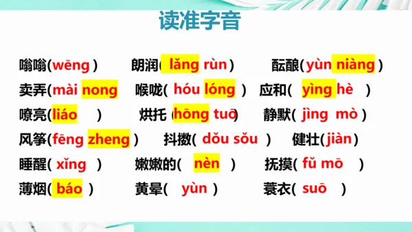 第一单元 复习课件(共75张PPT)
