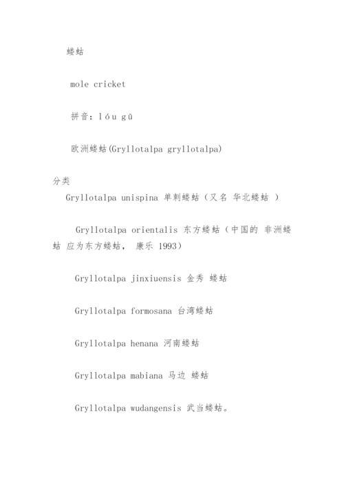 蝼蛄.docx
