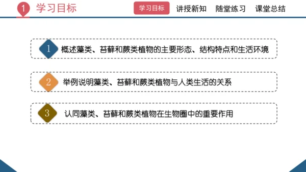 3.1.1 藻类、苔藓和蕨类植物课件 2023--2024学年人教版生物七年级上册(共26张PPT)