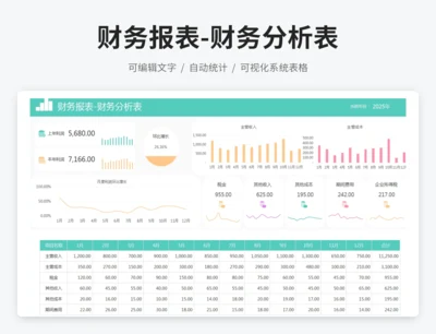 财务报表-财务分析表