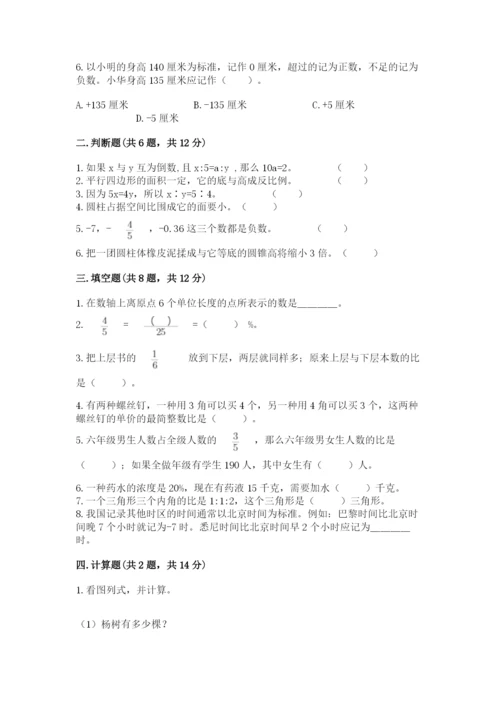 新疆小升初数学期末测试卷（有一套）.docx
