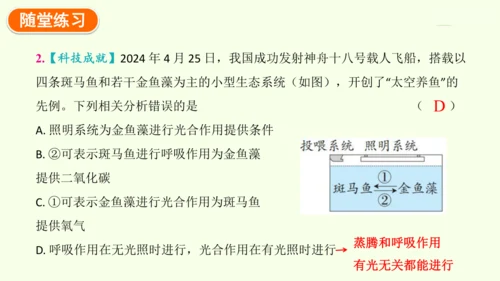 3.2.3呼吸作用-七年级生物下学期同步精品课件（2024人教版）(共24张PPT)