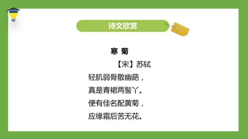 统编版语文五年级下册 第四单元  语文园地四 课件