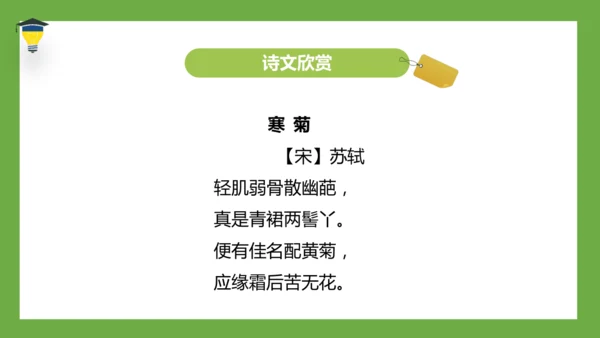 统编版语文五年级下册 第四单元  语文园地四 课件