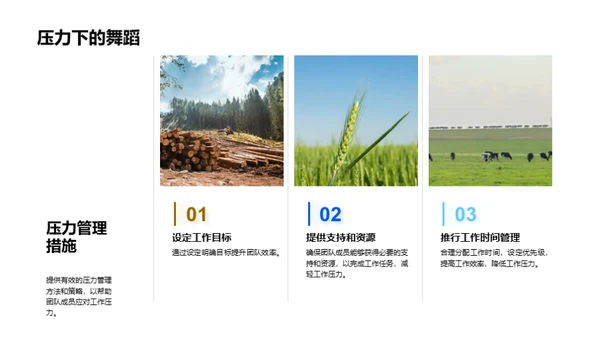 团队效能全面分析