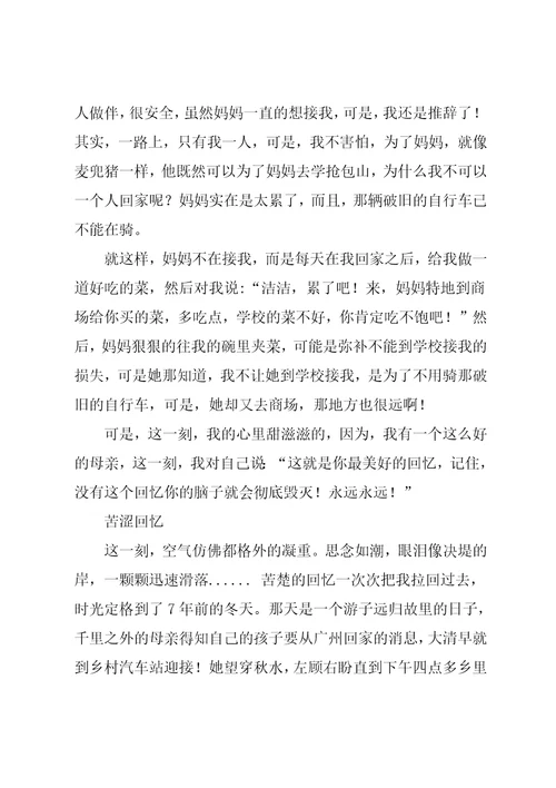 127作文故里的回忆(共25页)