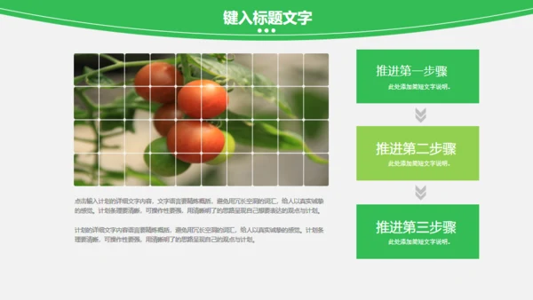蔬菜果蔬农业绿色有机蔬菜通用PPT模板