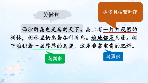 18.富饶的西沙群岛   课件