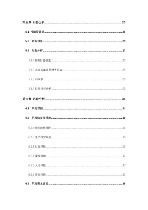 互联网项目计划书.docx