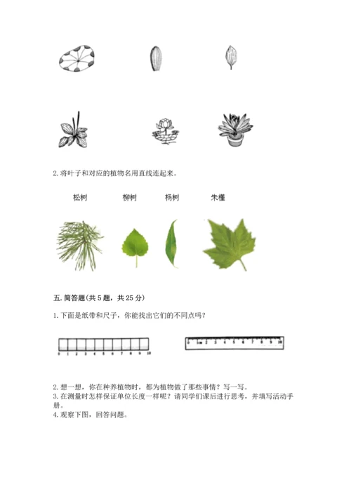 教科版一年级上册科学期末测试卷（轻巧夺冠）.docx