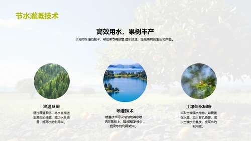 高效果园：种植与增益指南