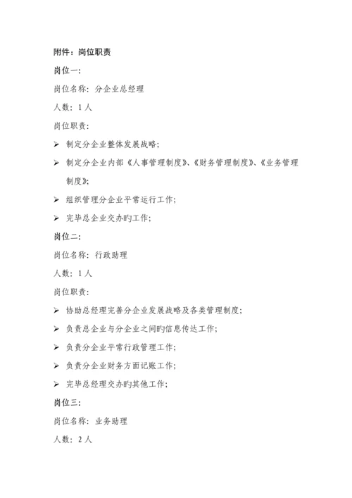 分公司筹建方案.docx