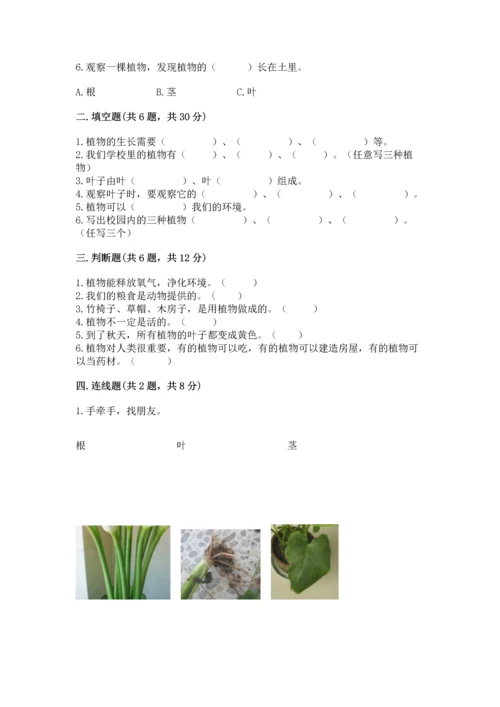 教科版科学一年级上册第一单元《植物》测试卷附答案【突破训练】.docx