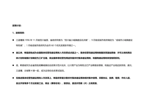 三道堰市场调查研究报告.docx