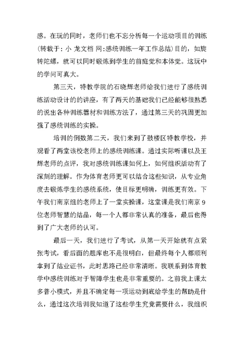 感统训练一年工作总结