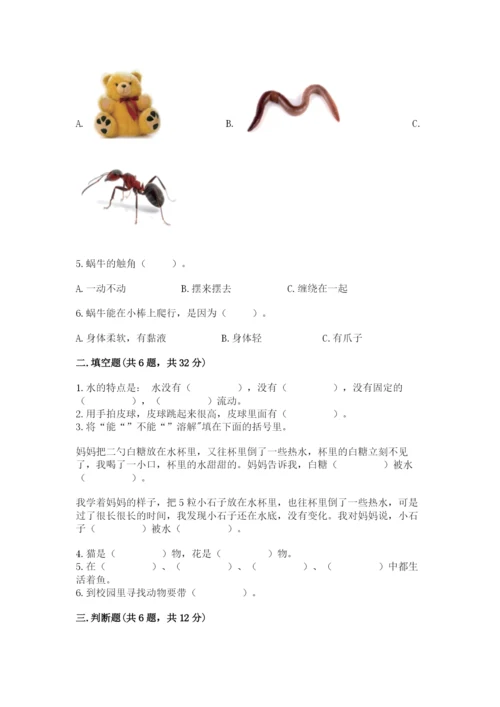 教科版小学科学一年级下册期末测试卷带答案ab卷.docx