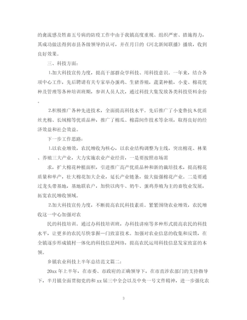 精编之乡镇农业科技上半年总结范文.docx