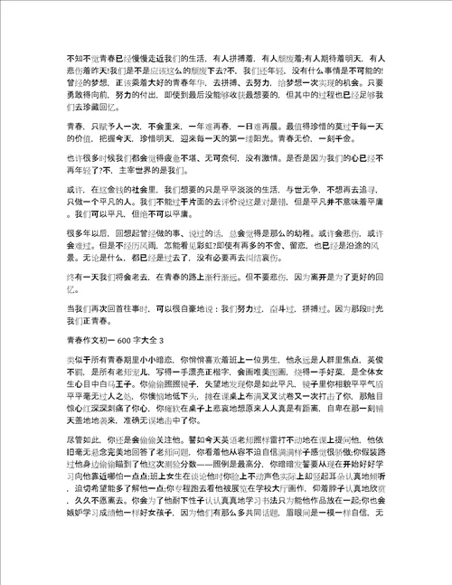 青春作文初一600字