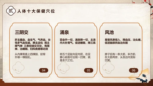 棕色中国风中医健康国风国潮中医健康宣教PPT