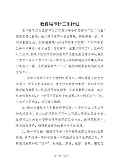 教育局审计工作计划.docx