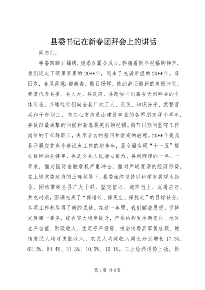 县委书记在新春团拜会上的讲话.docx