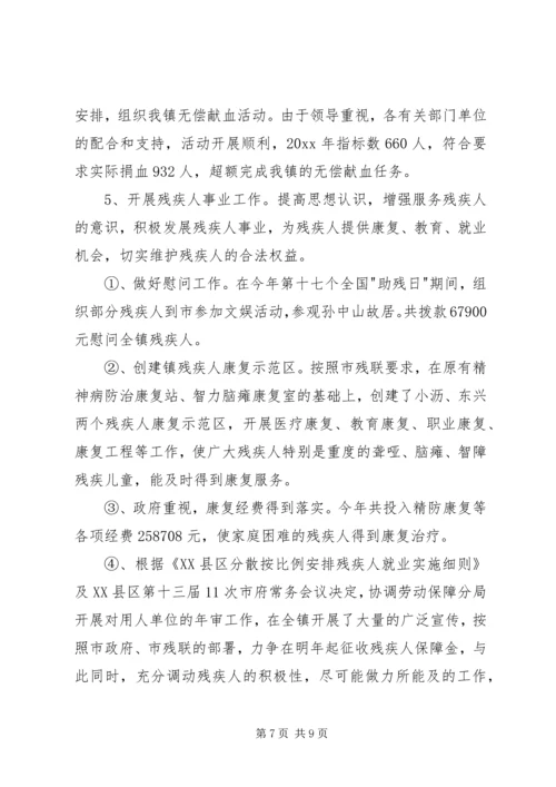 乡镇社会事务办工作总结.docx