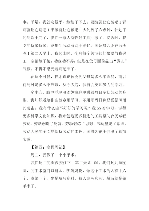 寒假周记00.docx