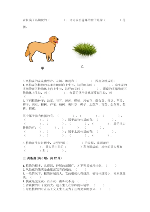 教科版四年级下册科学第一单元《植物的生长变化》测试卷【名师系列】.docx