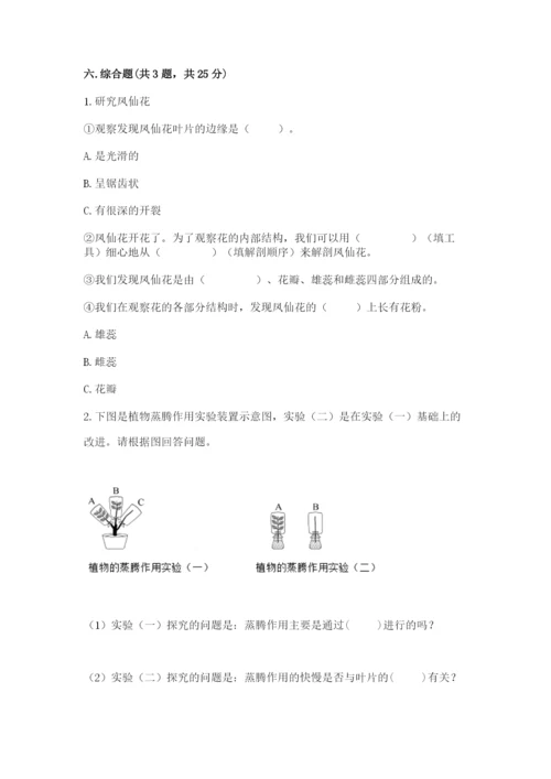 教科版科学四年级下册第一单元《植物的生长变化》测试卷汇编.docx
