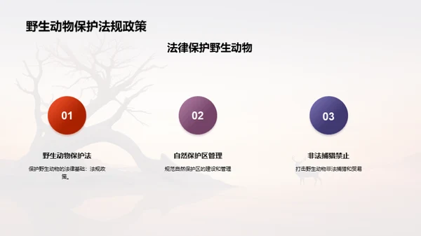 简约风其他行业教学课件PPT模板