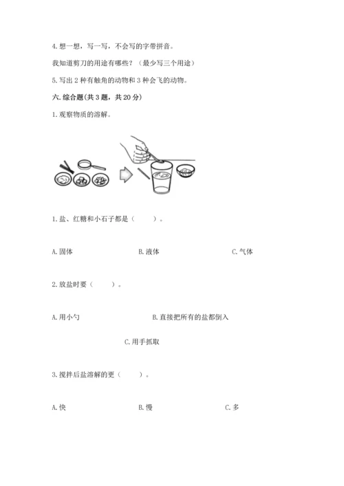 教科版一年级下册科学期末测试卷及完整答案【全国通用】.docx