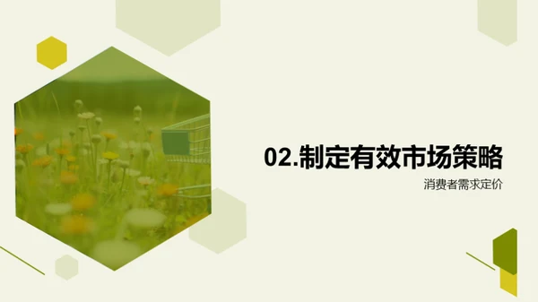 绿色农业在双十二的营销策略