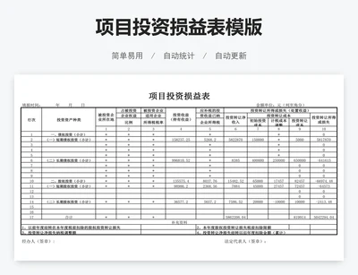 项目投资损益表模版